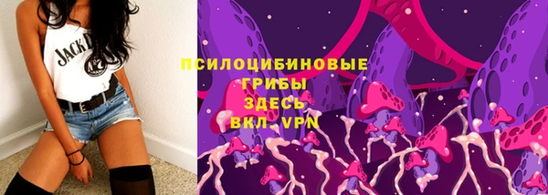 спиды Алексин